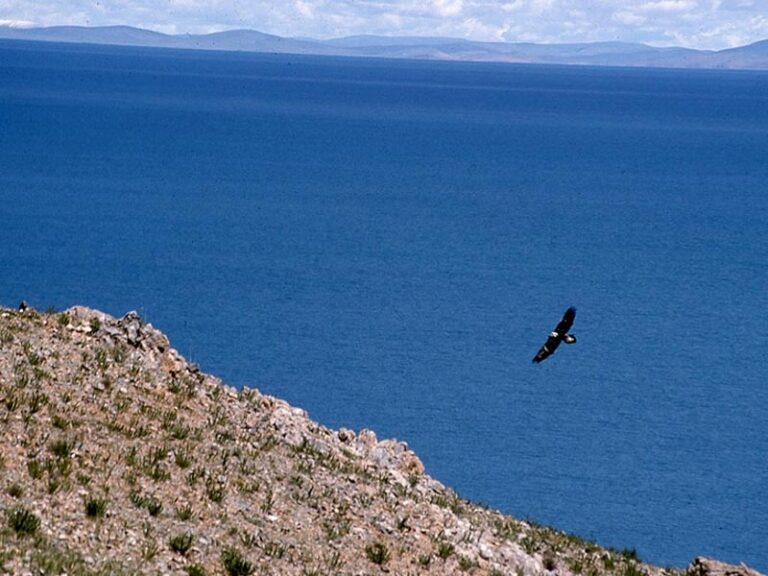 Namso la Lake, Tibet